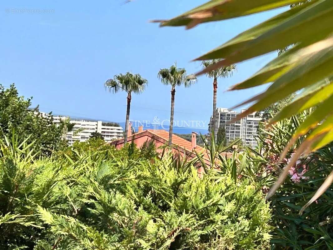 Maison à MANDELIEU-LA-NAPOULE