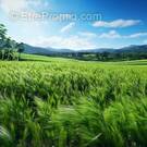 Terrain à SAINT-JEOIRE