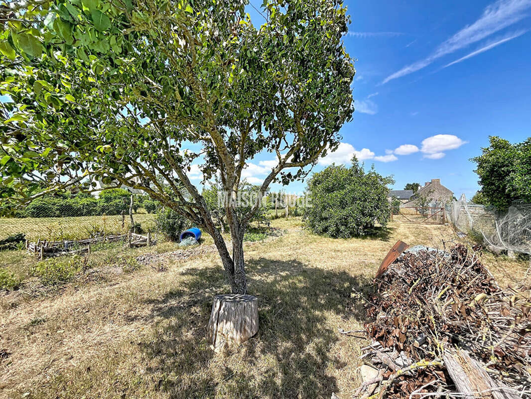 Face à la baie du Mont-Saint-Michel ? Maison familiale avec dépendance, garage et terrain de 1 700 m² - photo 20