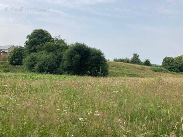 Terrain à CROUY-SUR-COSSON