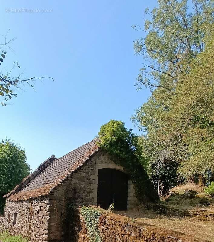 Maison à MOUSSAGES