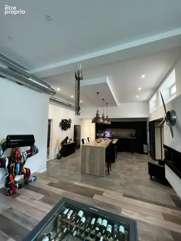 Gieres loft 152m2 + jardin + couloir de nage - photo 7