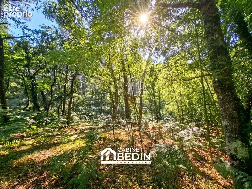 Maison 6 pièces 200 m² à vendre à Captieux (33840) - photo 3