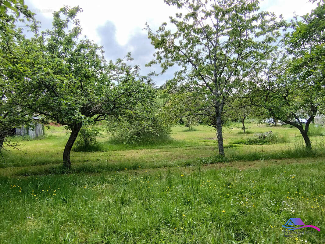 JARDIN FACE A LA MAISON - Maison à CHAMPILLET