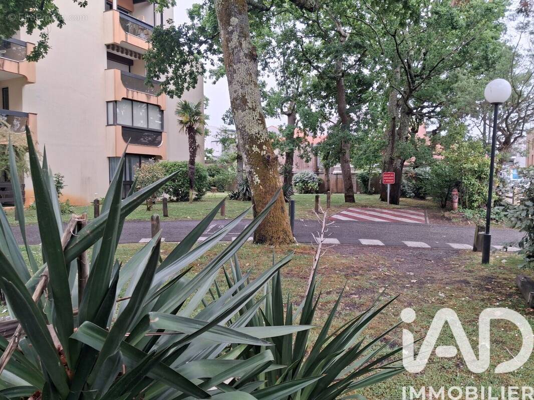 Photo 1 - Appartement à ANDERNOS-LES-BAINS