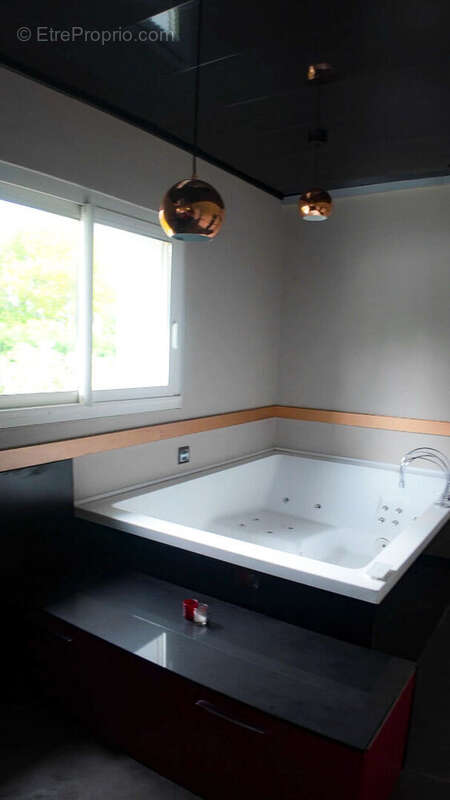 Maison d'architecte Eclose Badinieres 6 pièce(s) 182 m2 - photo 16