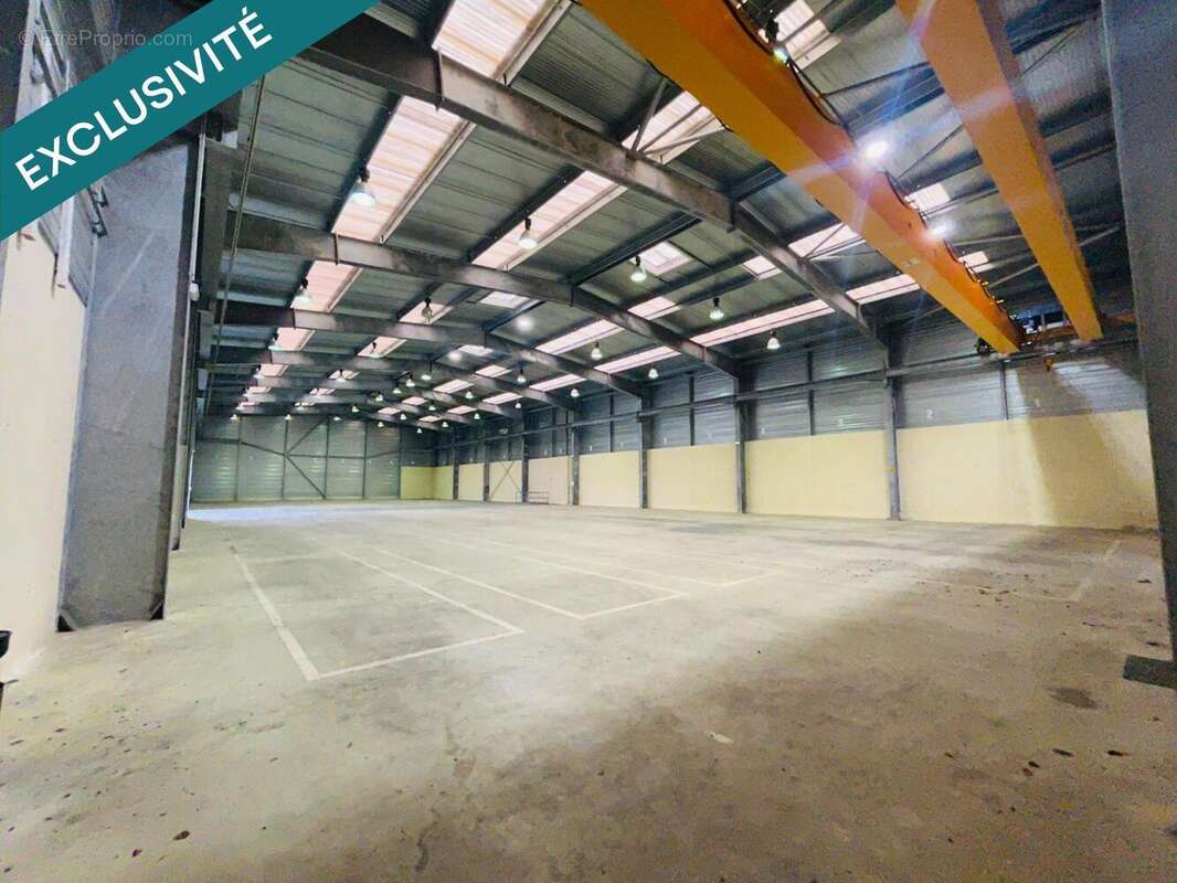 Photo 8 - Commerce à CASTRES