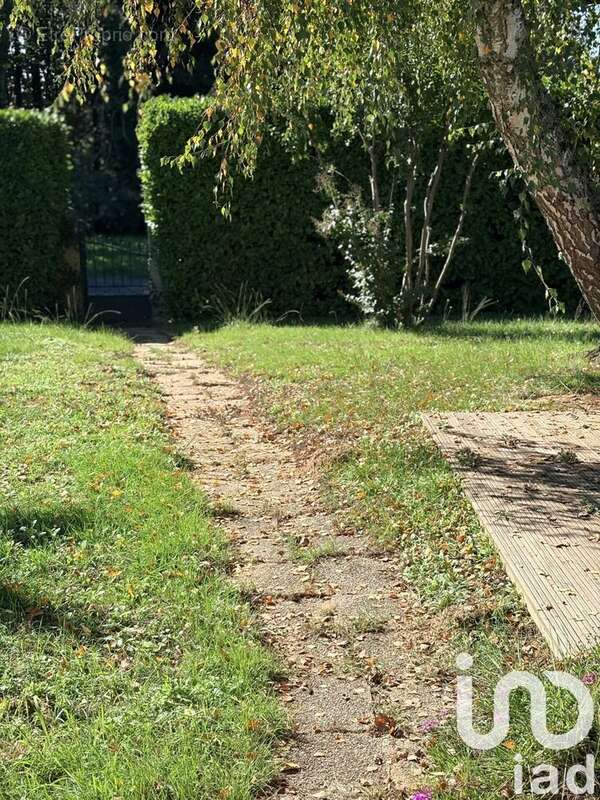 Photo 6 - Maison à SAINT-VINCENT-LE-PALUEL