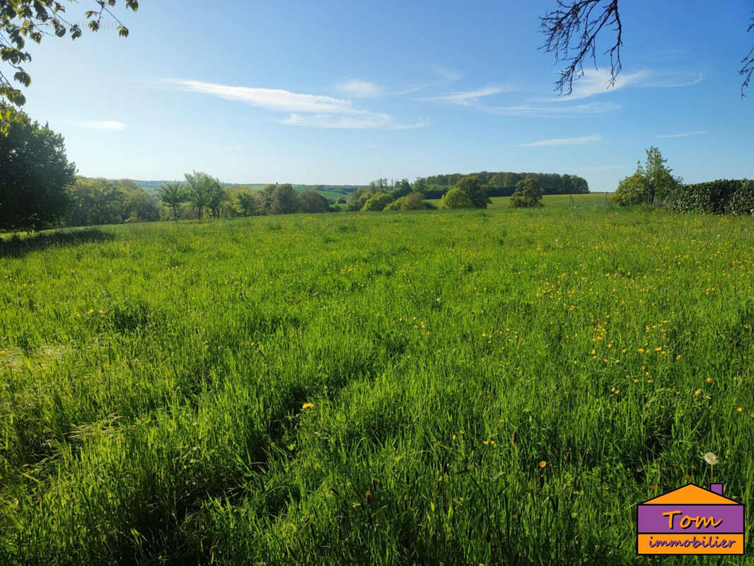 Terrain à VOLMUNSTER