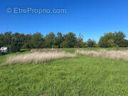 Terrain à BREUILLET