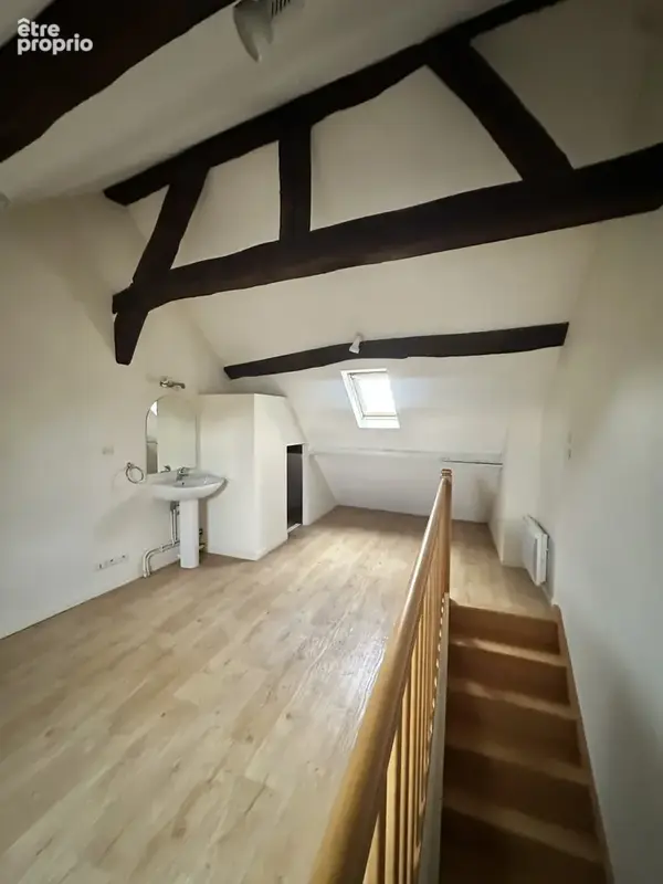 Appartement duplex proche Gare et Faubourg Bannier - Orléans - photo 8
