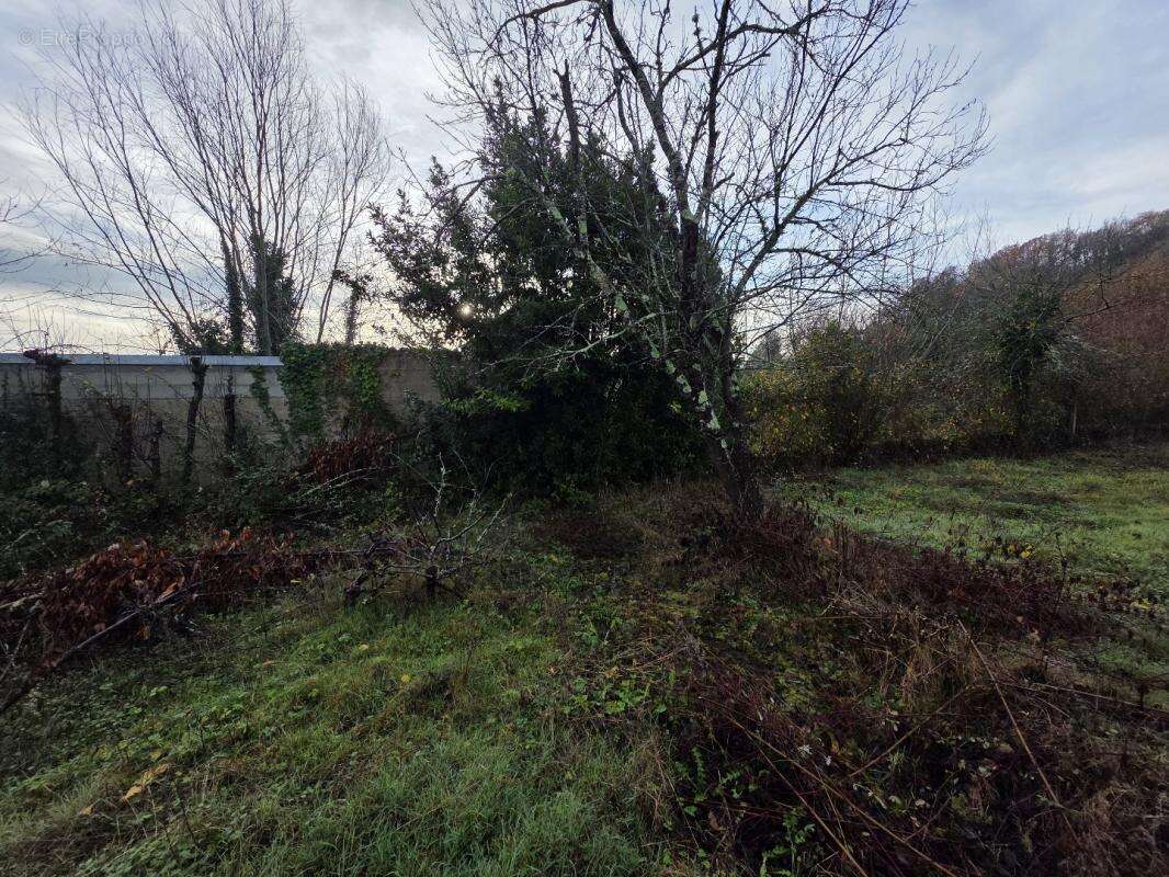 Terrain à ARGENTON-SUR-CREUSE