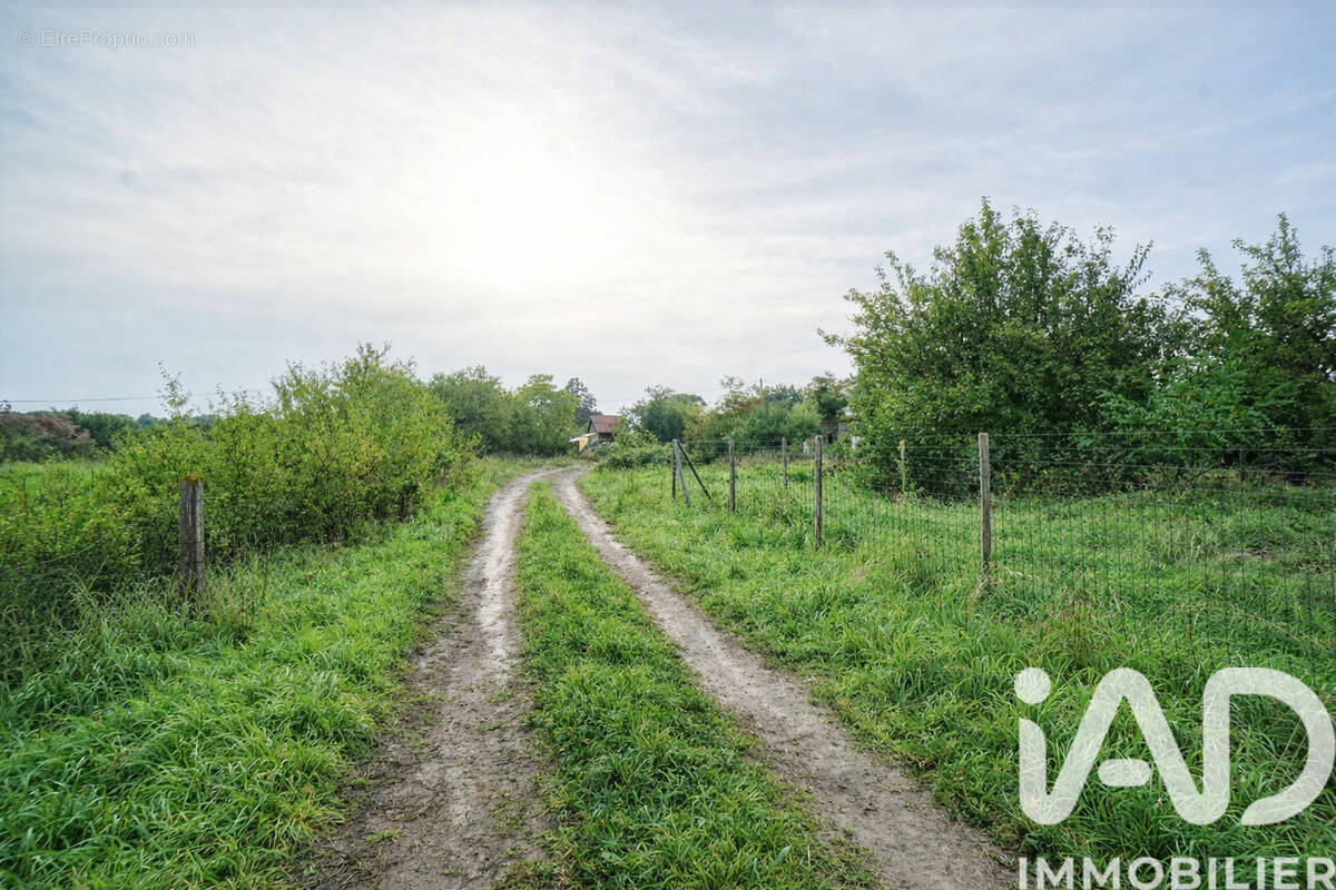 Photo 1 - Terrain à CORNEBARRIEU