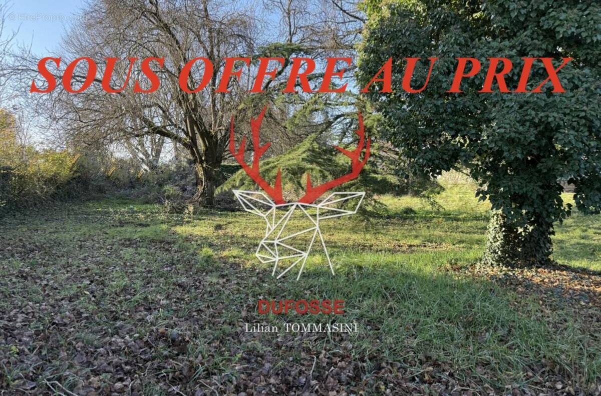 Photo 1 - Terrain à LA TOUR-DE-SALVAGNY