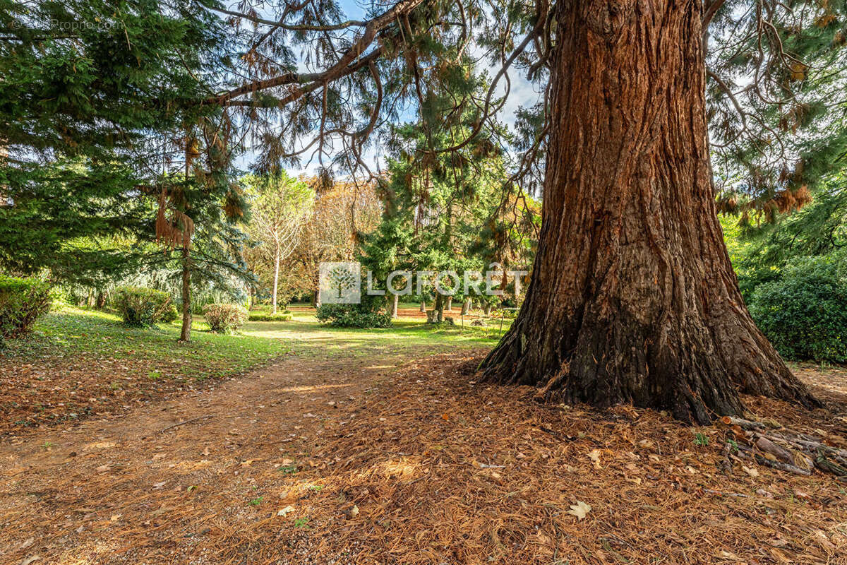 Propriété rare au coeur d'un parc - photo 15