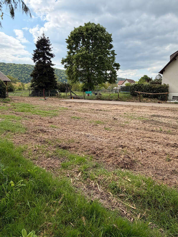 Terrain à BONNIERES-SUR-SEINE
