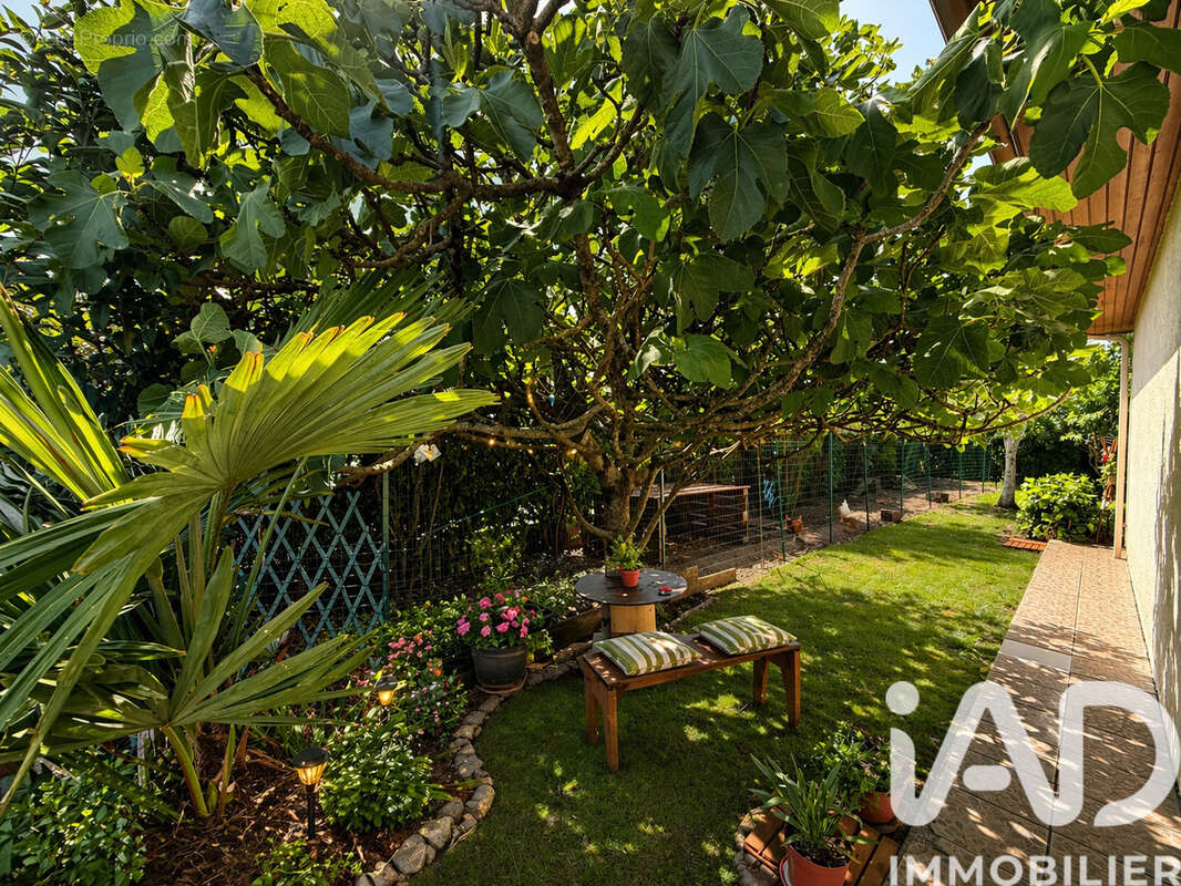 Photo 6 - Maison à SAINT-PERDON