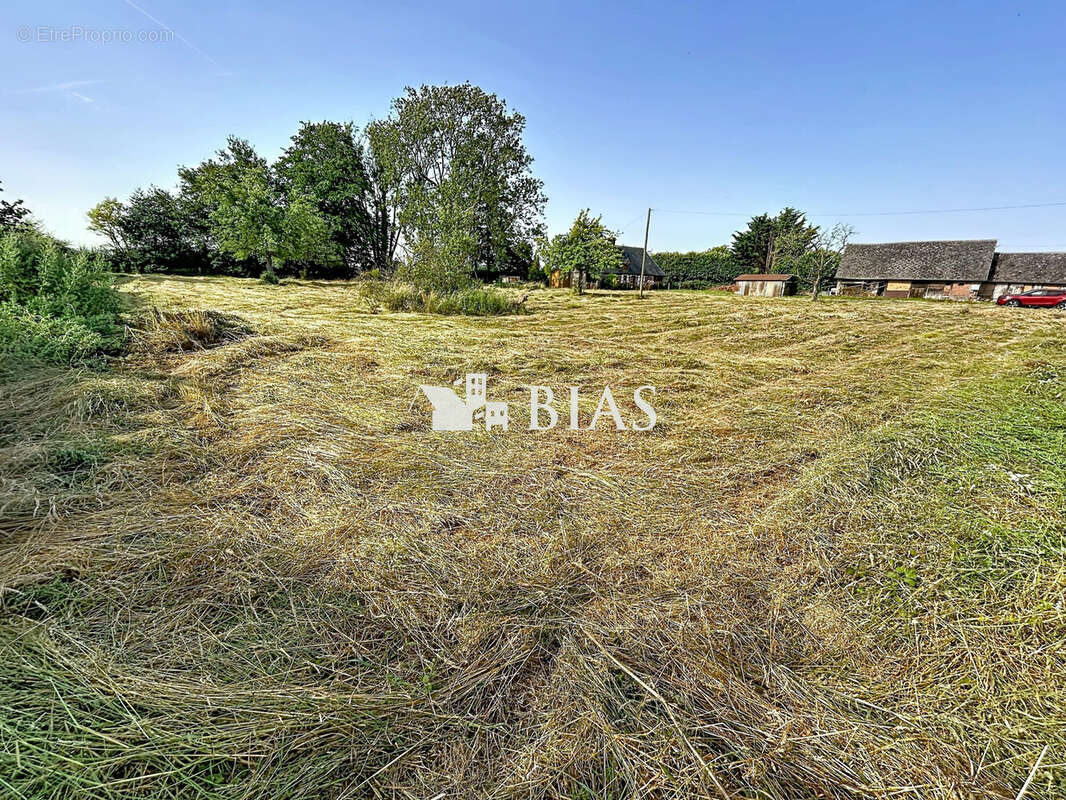 Terrain 1200 m² à Blainville-Crevon  - photo 2