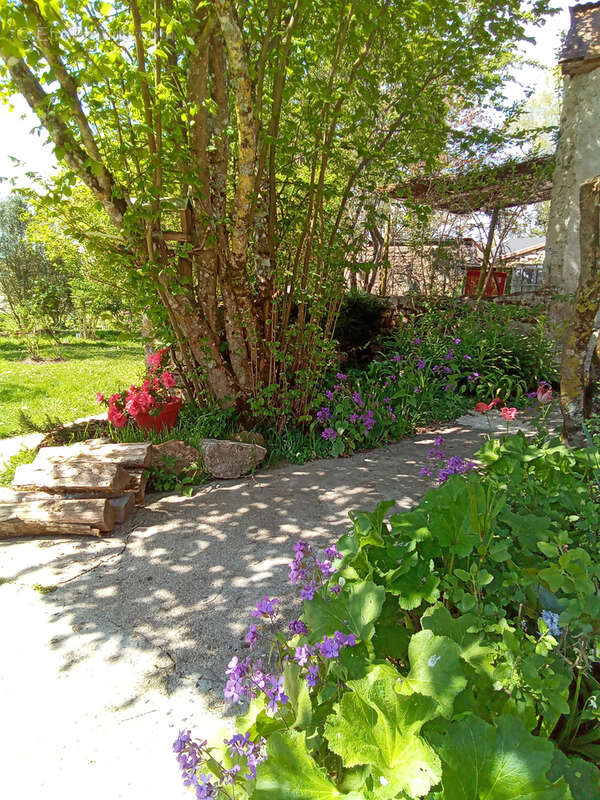 Maison à MARCHENOIR