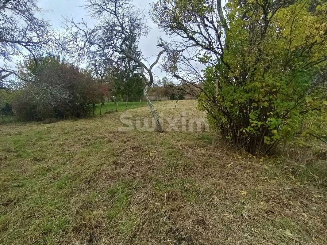 Appartement à BIERRY-LES-BELLES-FONTAINES