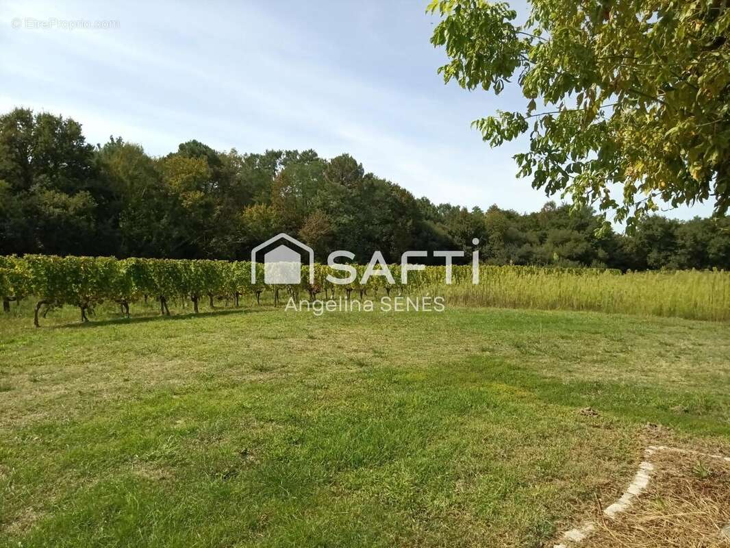 Photo 9 - Maison à BERSON