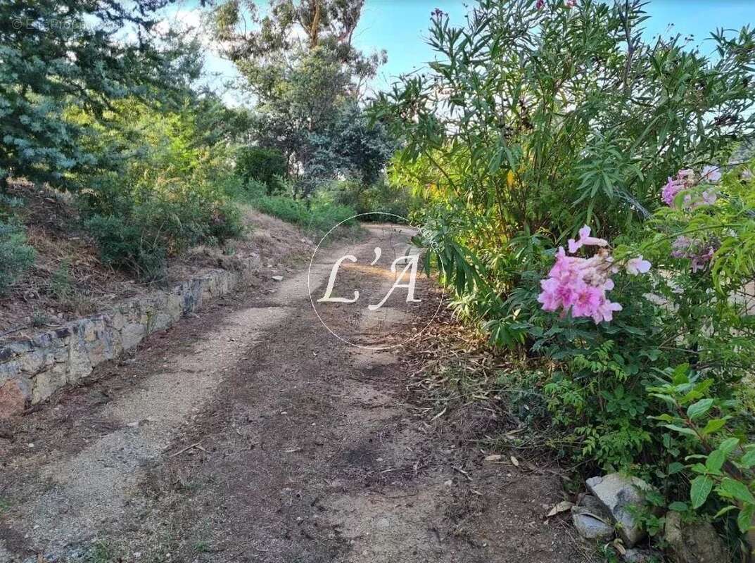 Maison à SARI-SOLENZARA