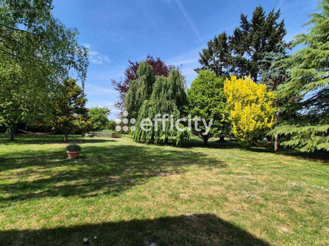 Maison 199 m² à Chedigny  - photo 2