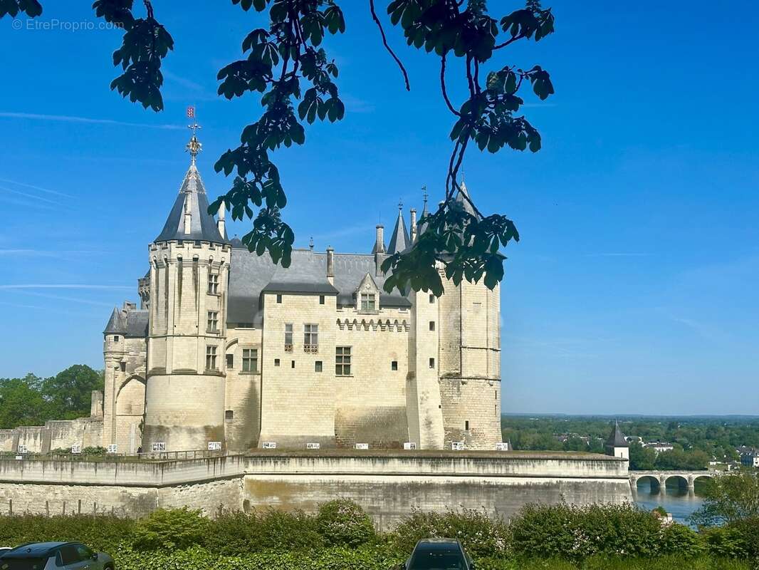 Propriete d'exception à vendre à SAUMUR (49400)  Panorama d'exception sur le château et la Loire - 328m² - 2278m²-piscine - photo 14