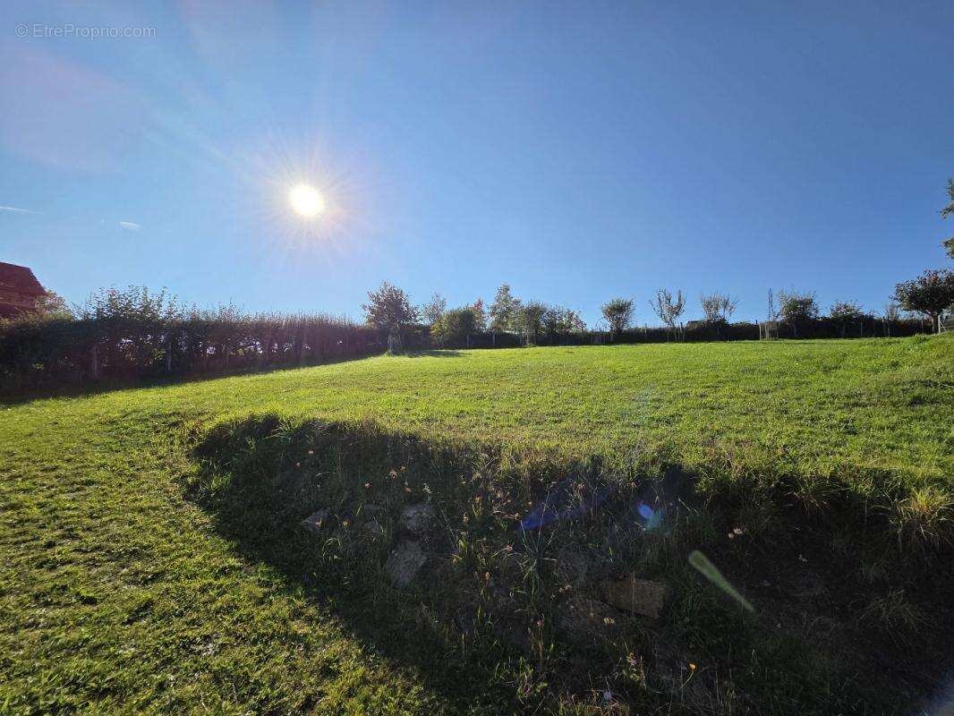 Maison à BARAQUEVILLE