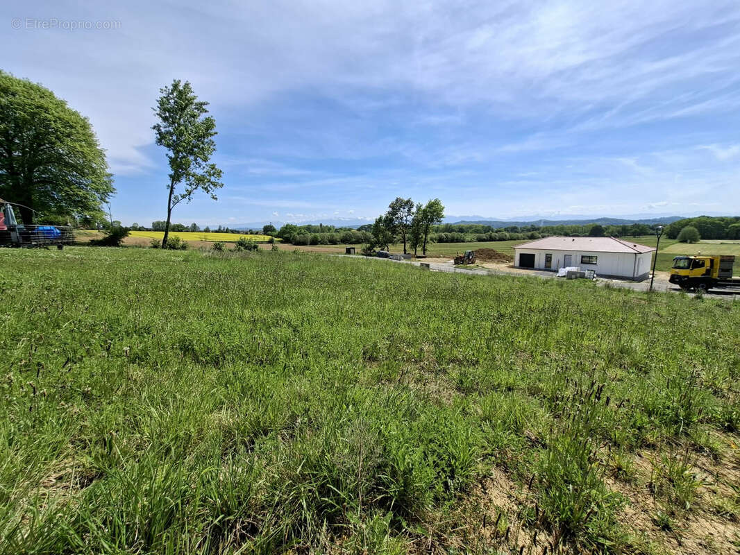 Terrain à LABASTIDE-MONREJEAU