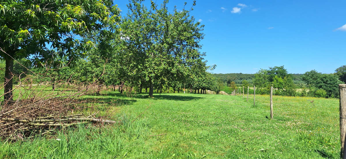 Maison à BUSSY-EN-OTHE