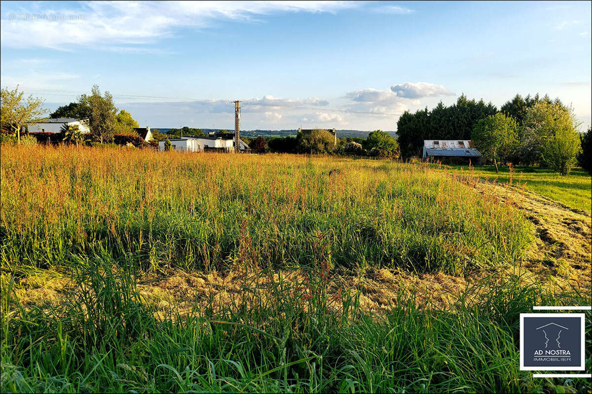 Terrain à SAINTE-MARIE