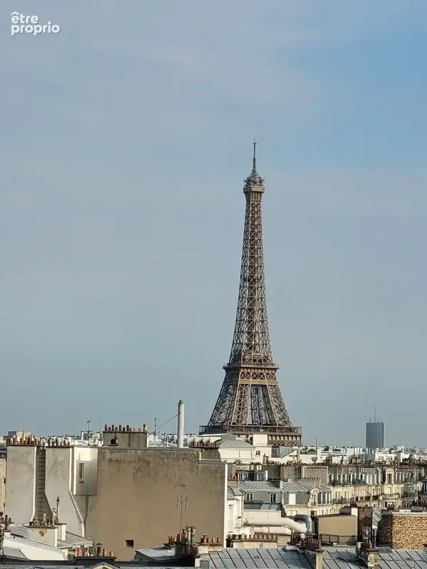 Appartement coup de coeur avec terrasse paris 15ème! - photo 7