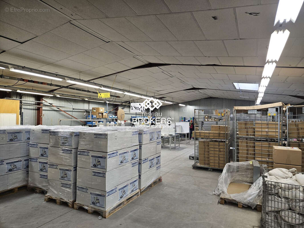 Commerce à SAINT-TRIVIER-DE-COURTES