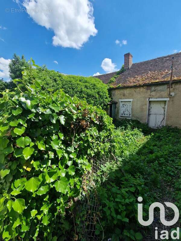 Photo 4 - Maison à DORDIVES