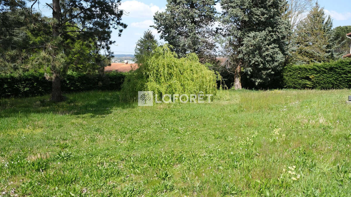 Terrain à ALBIGNY-SUR-SAONE