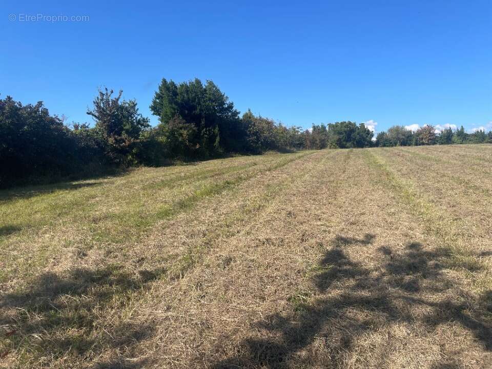 Terrain à SAINT-CIERS-DE-CANESSE