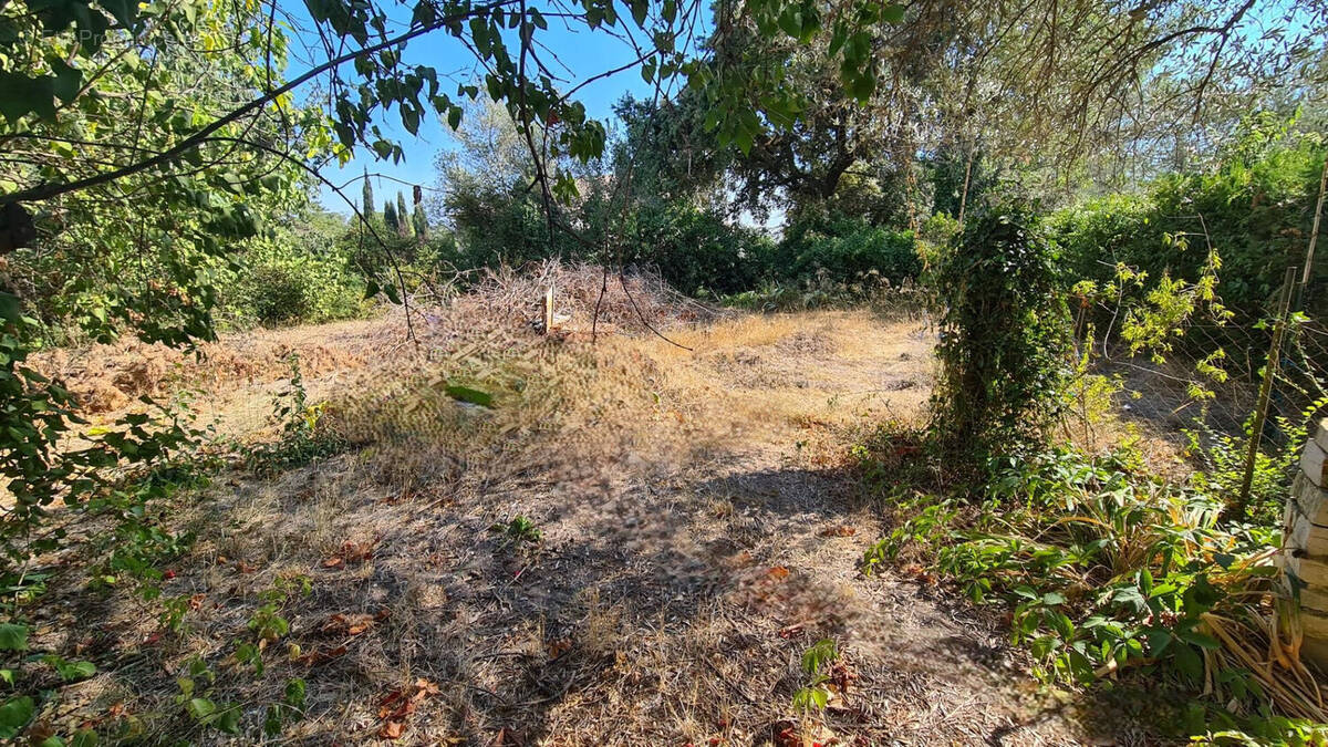 Terrain à SAINT-VINCENT-DE-BARBEYRARGUES