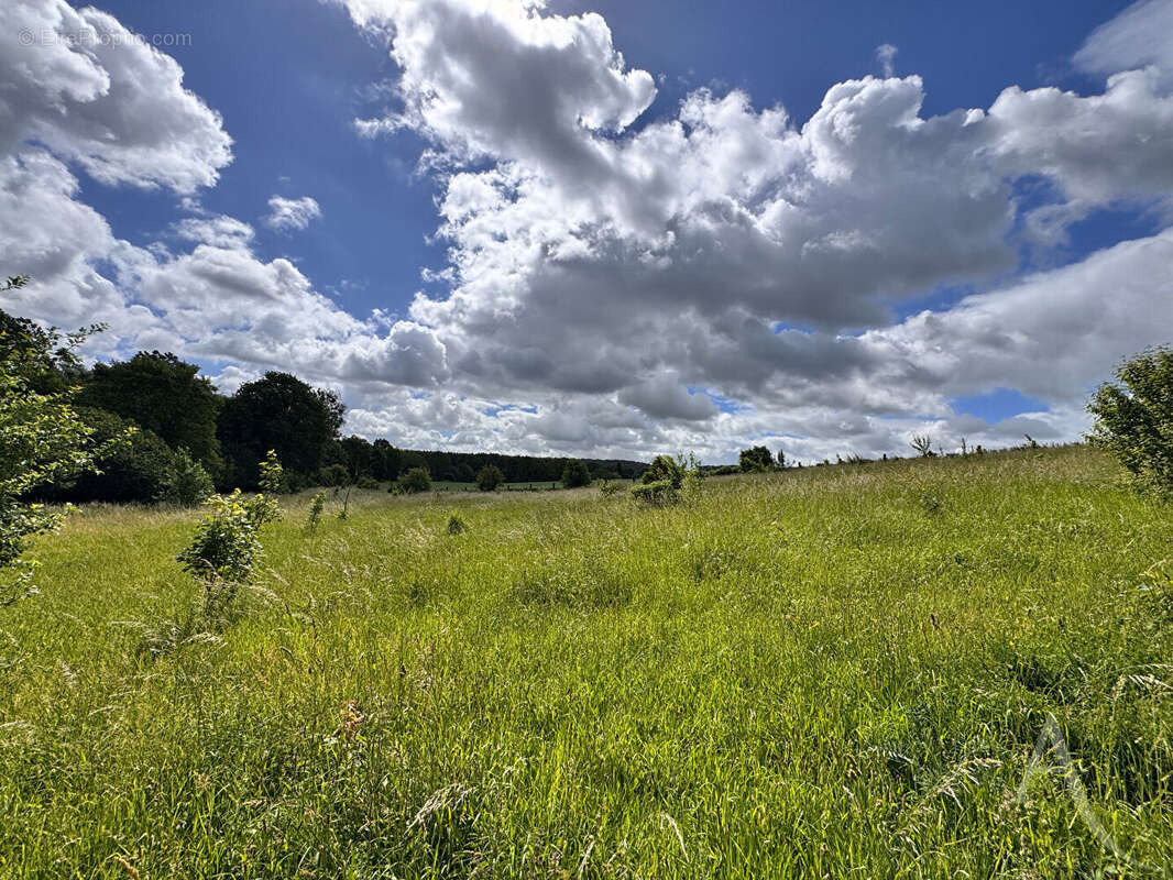 Chaussoy-epagny - plus de 2,4 hectares de nature - photo 3