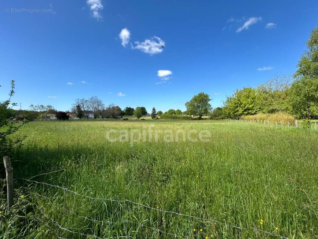Maison à vendre 7 pièces THIVIERS (24)252m² sur plus de 5000m² de terrain - photo 20