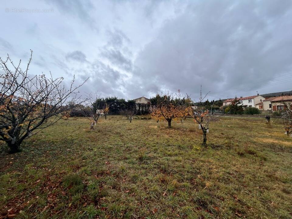 Terrain à CAUNES-MINERVOIS