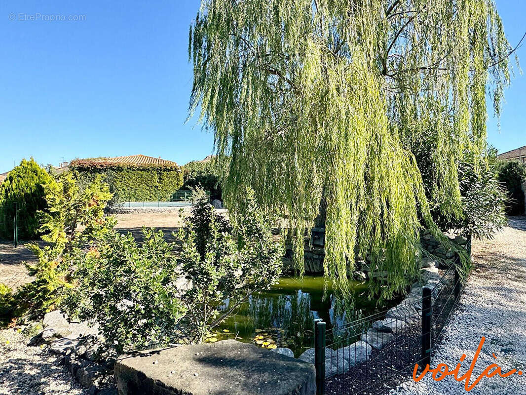 Maison à CARCASSONNE