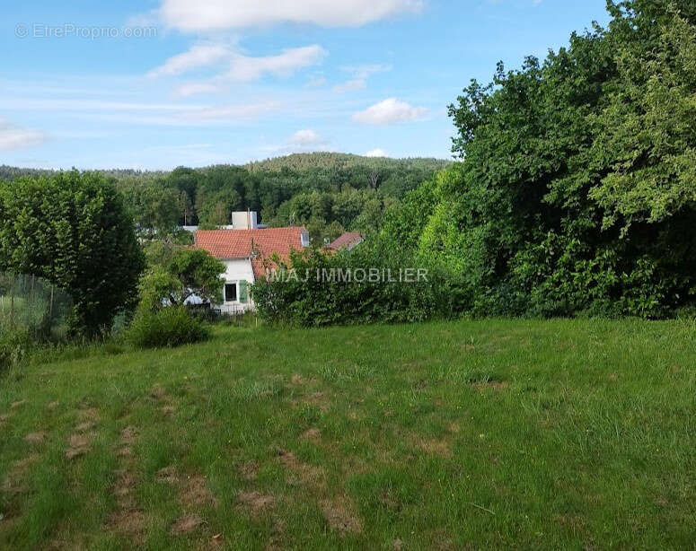 EPINAL - Maison à rénover   3 chambres  -  Terrain arboré de 1 291 m2 - photo 8