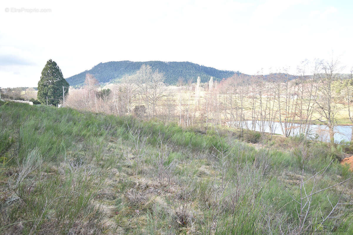 Terrain à SAULCY-SUR-MEURTHE