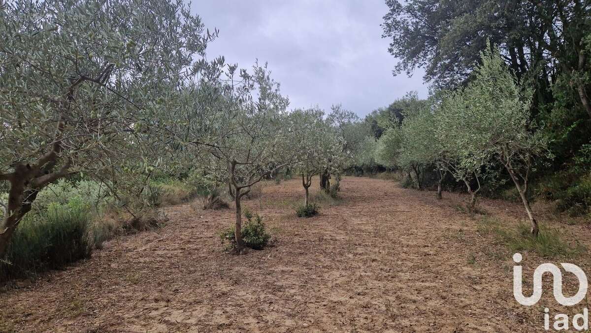 Photo 4 - Terrain à LEDENON