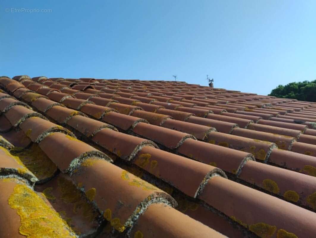 Maison 80 m² à Elne  - photo 8