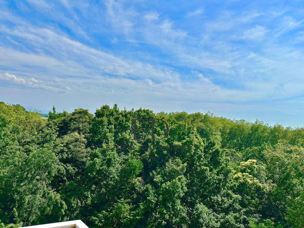 Appartement à ANGLET