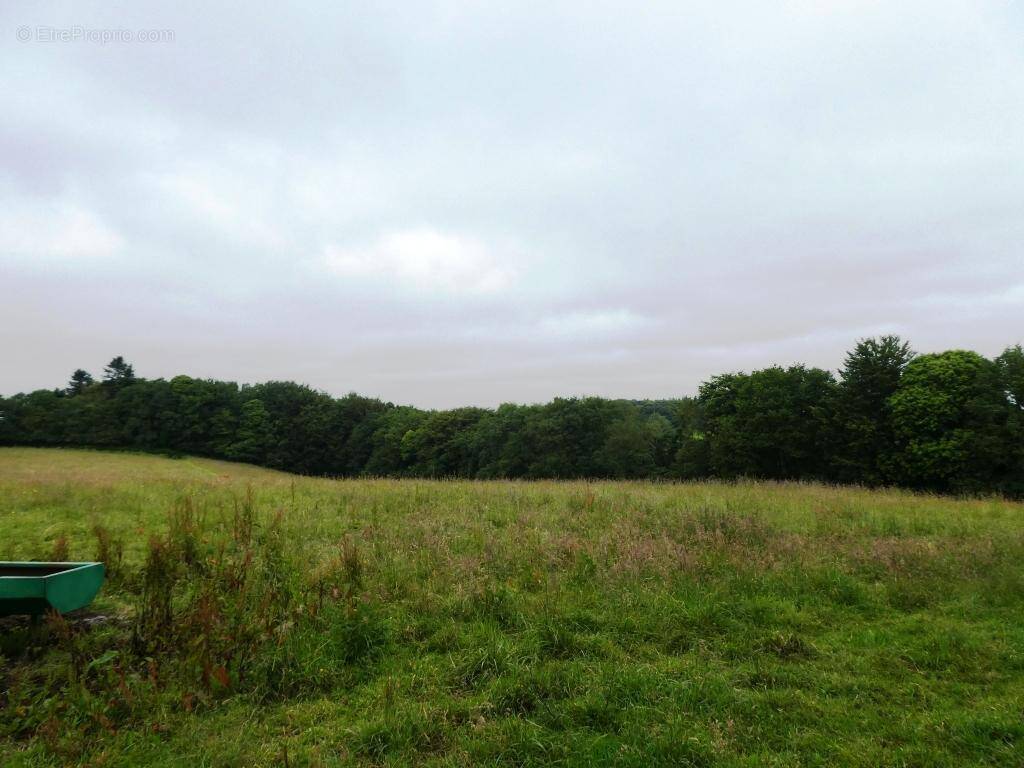 Terrain à PLOURAY