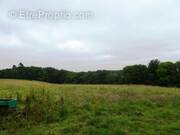 Terrain à PLOURAY