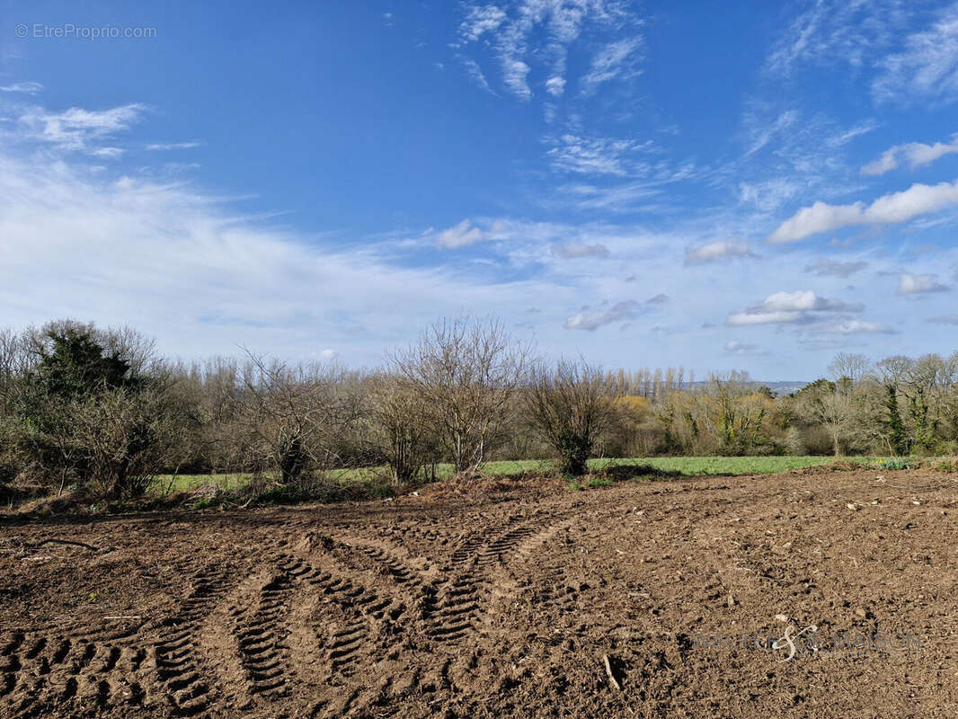Terrain à LOGONNA-DAOULAS